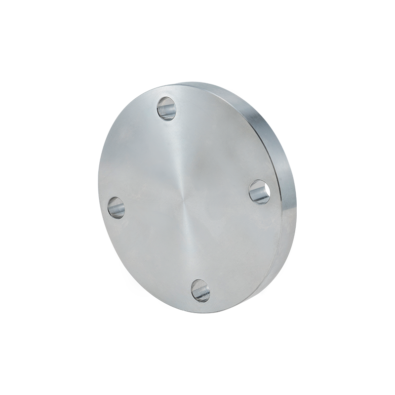 Common Forged Stainless Steel Flange 304 Series